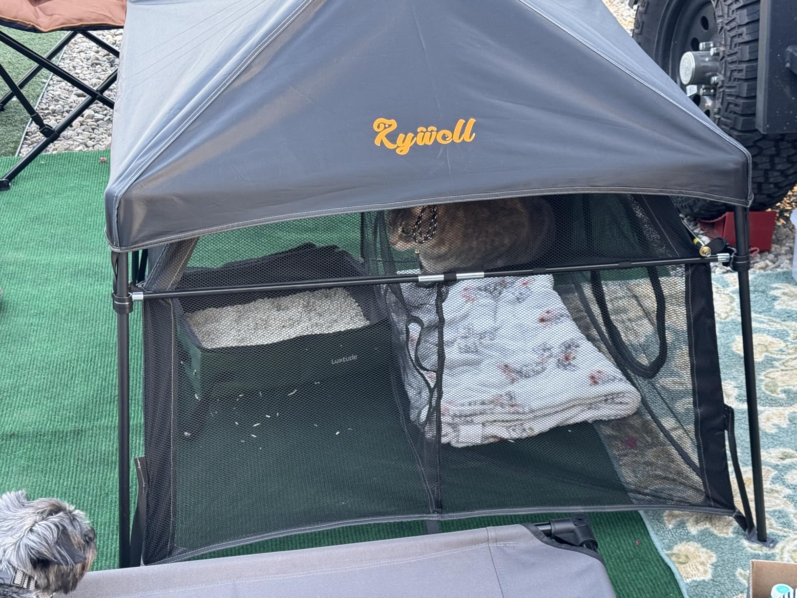 Extra Large Catio Outdoor Cat Enclosure Rywell 2-Tier Cat Tent for Patio, Balcony, Indoor & Camping, Foldable Outdoor Cat Playpen with Windows, Weatherproof Sunproof (Carry Bag Included) customer photo 1