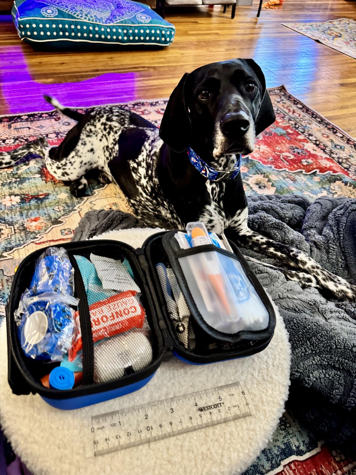 EVERLIT Pet Medic First Aid Kit | 95 Pcs Vet-Approved Medical, Outdoor & Emergency Supplies for Dogs, Cats, Animal Care | Travel-Friendly Compact Bag for Home, Car and Travel (Raven Black) customer photo 1