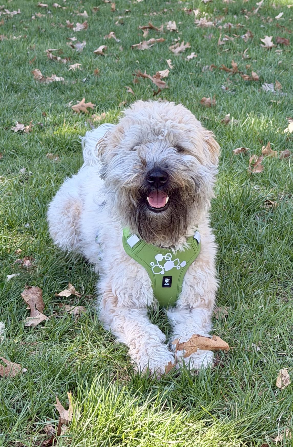 Hurtta Weekend Warrior Harness II - Active Dog Harness for Running and Hiking customer photo 1