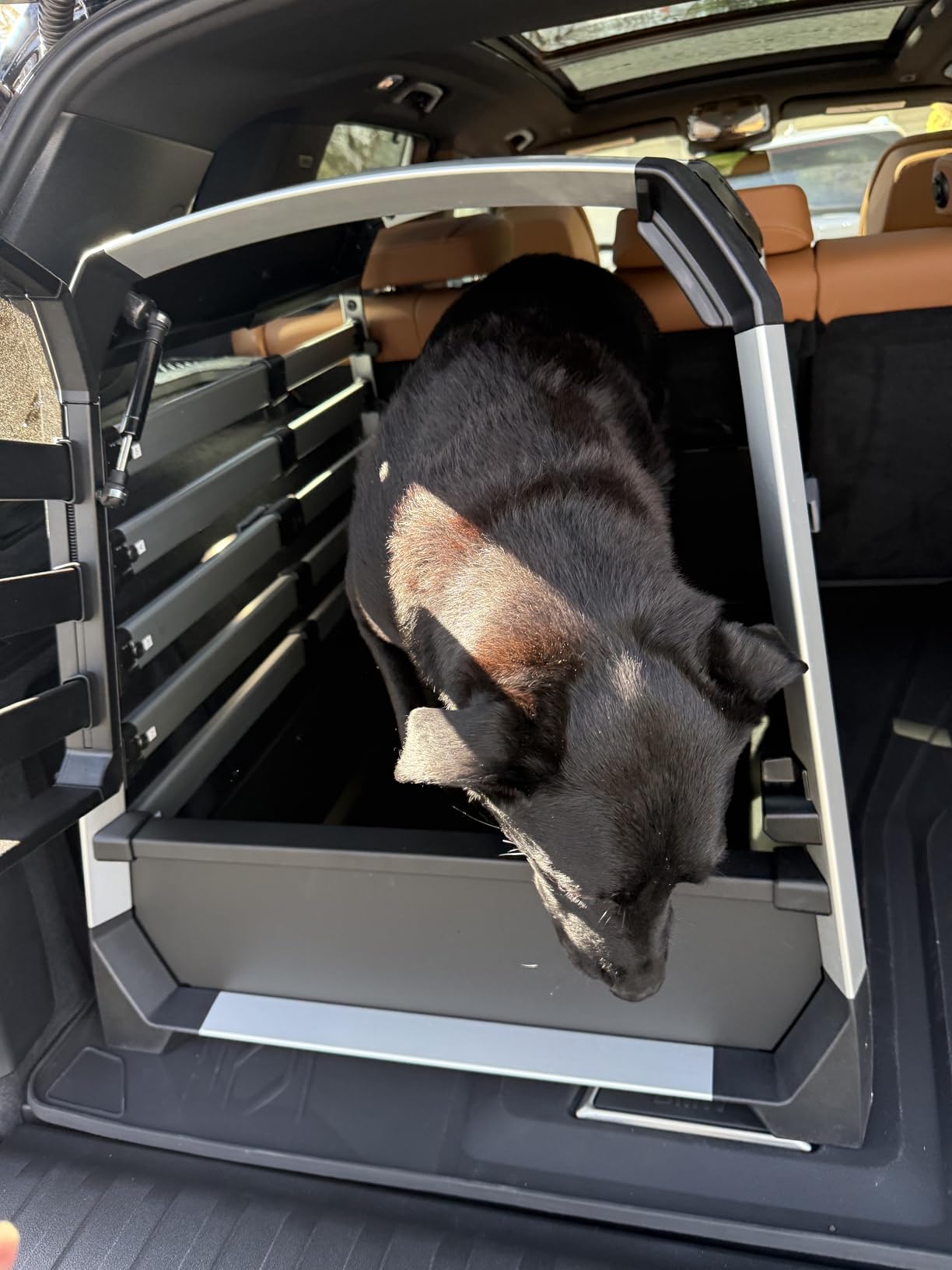 Thule Allax Threshold Compatible Dog Crate for Vehicle Travel - Size M - Fits Vehicles with Trunk Threshold - High-Strength Construction - Adjustable for a Perfect Dog and Vehicle fit customer photo 1