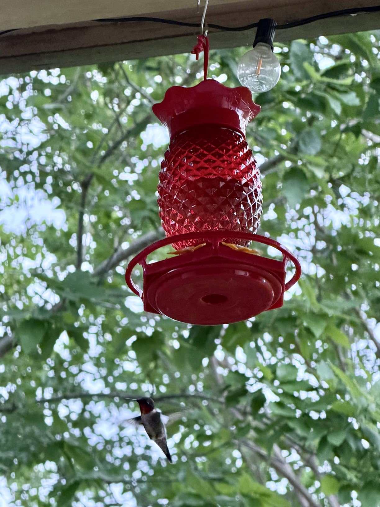 Fchstaer Glass Hummingbird Feeders for Outdoors Hanging 16oz 2 Pack Red Pineapple Bee & Ant Proof 360°Perch Leakproof Easy Clean with 6 Feeding Ports Gifts for Mom customer photo 2