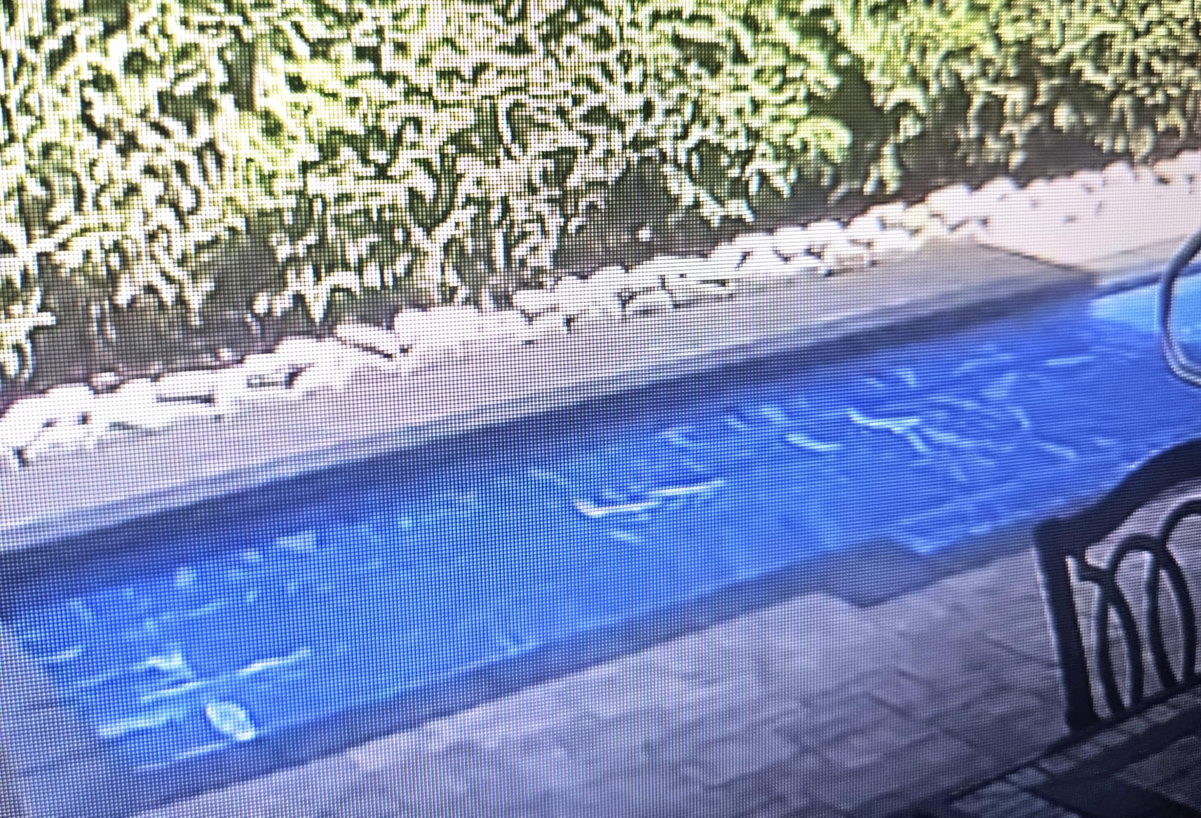 VINGLI 16Mil Solar Pool Cover for Inground Pools, Heat Retaining Solar Covers, 16x32FT Rectangle Solar Pool Cover, Solar Blanket for Inground Pool, Blue (16' x 32') customer photo 2