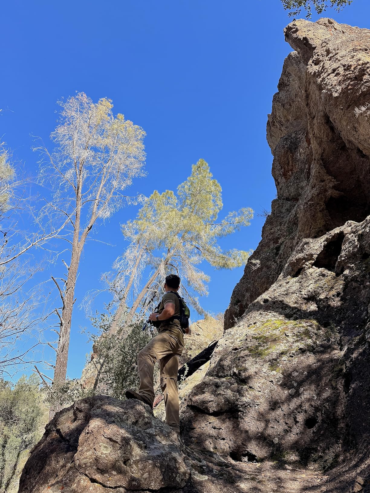 Men's-Hiking-Pants Convertible Quick-Dry Water-Resistant Lightweight Zip-Off Outdoor with 5 Deep Pockets customer photo 1