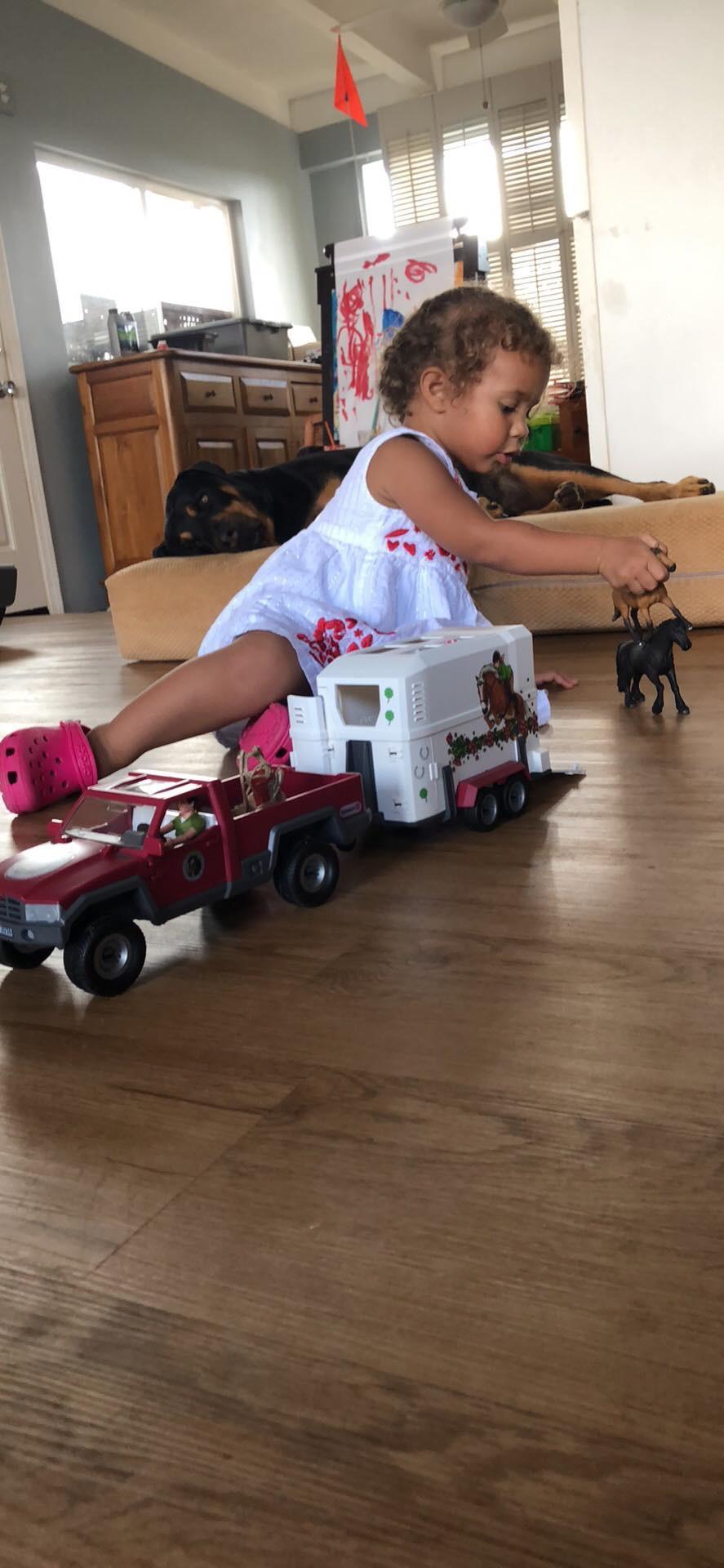 Schleich Horse Club - 119 Pc Lakeside Truck and Trailer Playset With 2 Horse Figurines, 2 Poseable Rider Figures and Accessories - Interactive Play for Girls and Boys - Toys for Kids Ages 5+ | 42705 customer photo 2