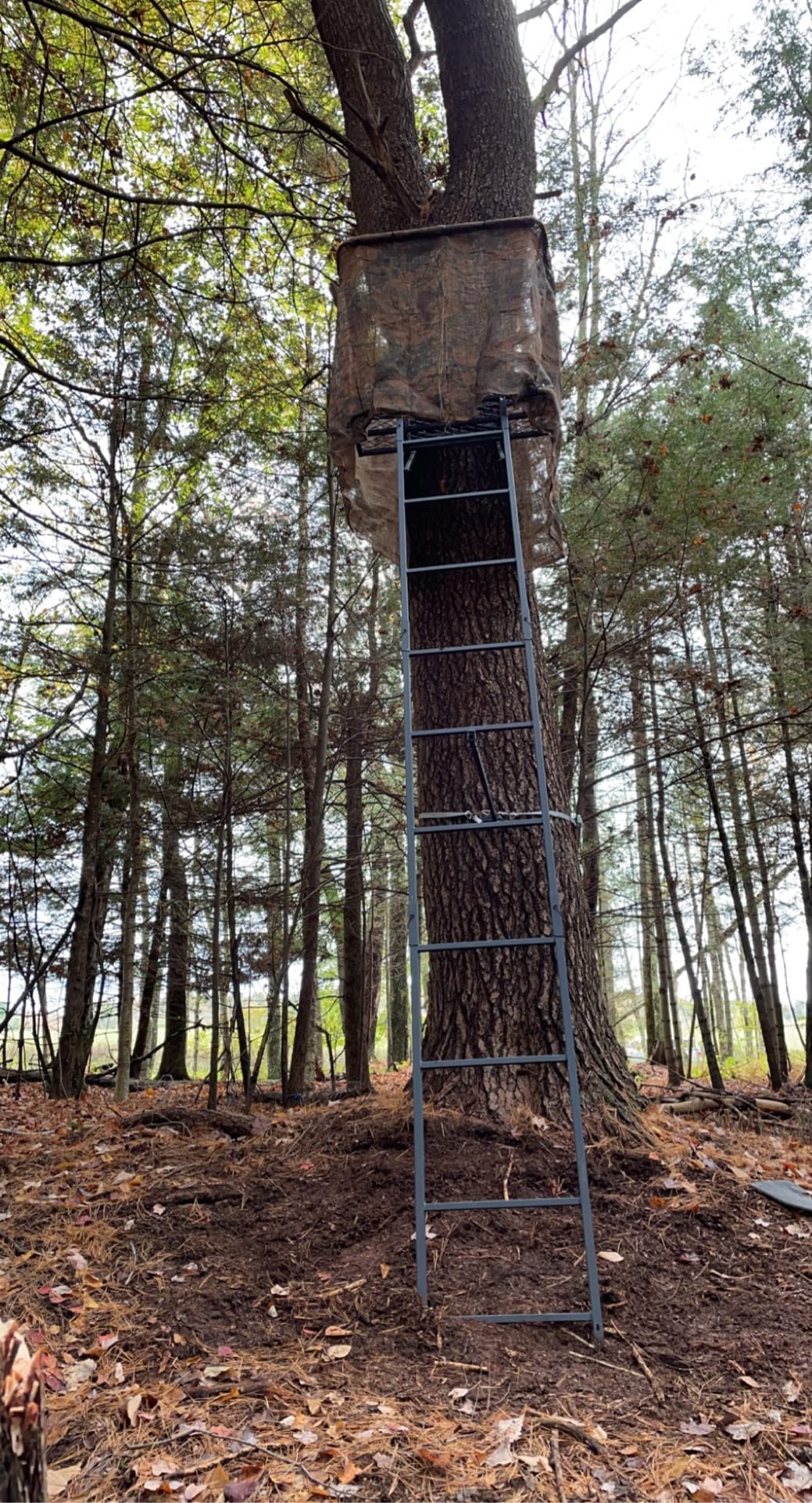 Guide Gear 16.5' 2-Man Ladder Tree Stand for Hunting Elevated Climbing Seat customer photo 2