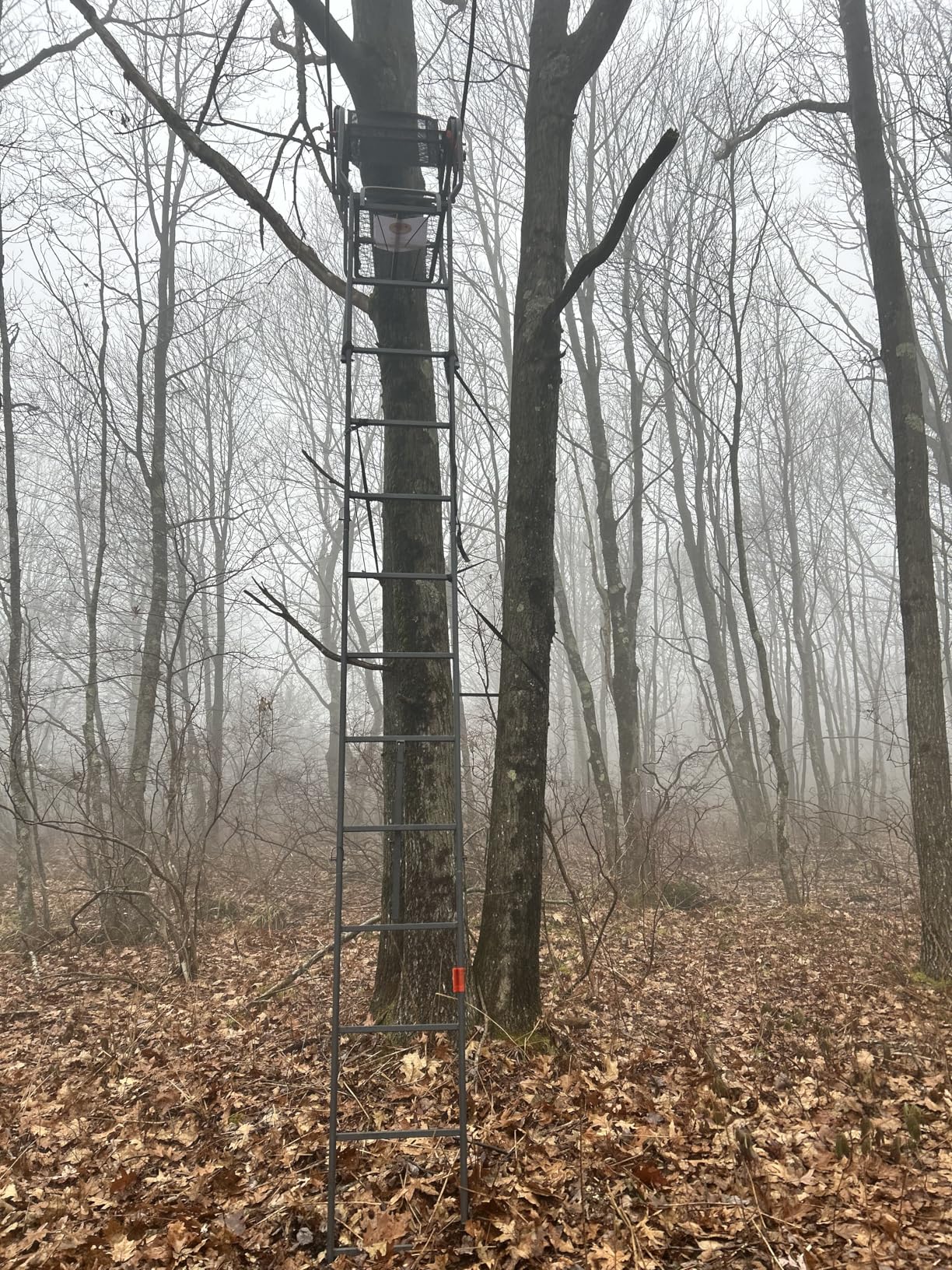 Guide Gear 15.5 ft Ladder Tree Stand for Hunting with Mesh Seat customer photo 2