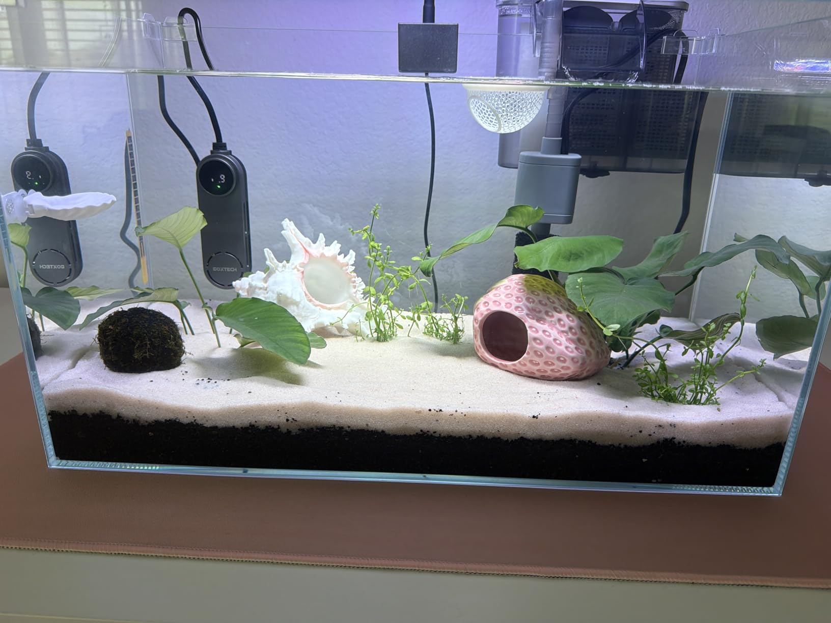 Vimvins 10 Gallon Glass Small Fish Tank with Filter Light and Lid, Aquarium Starter Kit customer photo 2