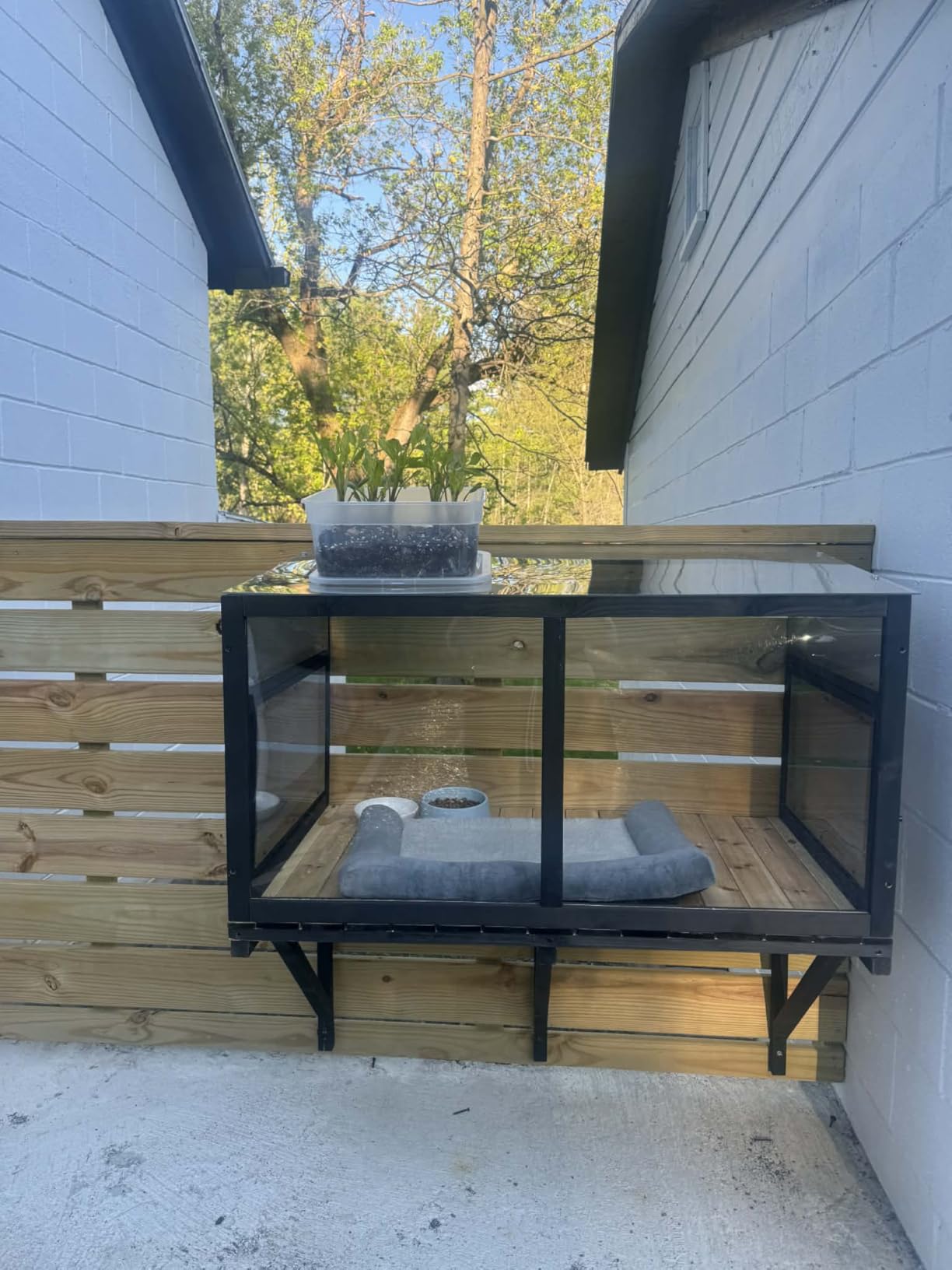 Cat Window Box Window Perch Catio Outdoor Cat Enclosure Bug Proof Wire Grid for Sunbathing Napping Overlooking for Indoor Outdoor Cats1 customer photo 1