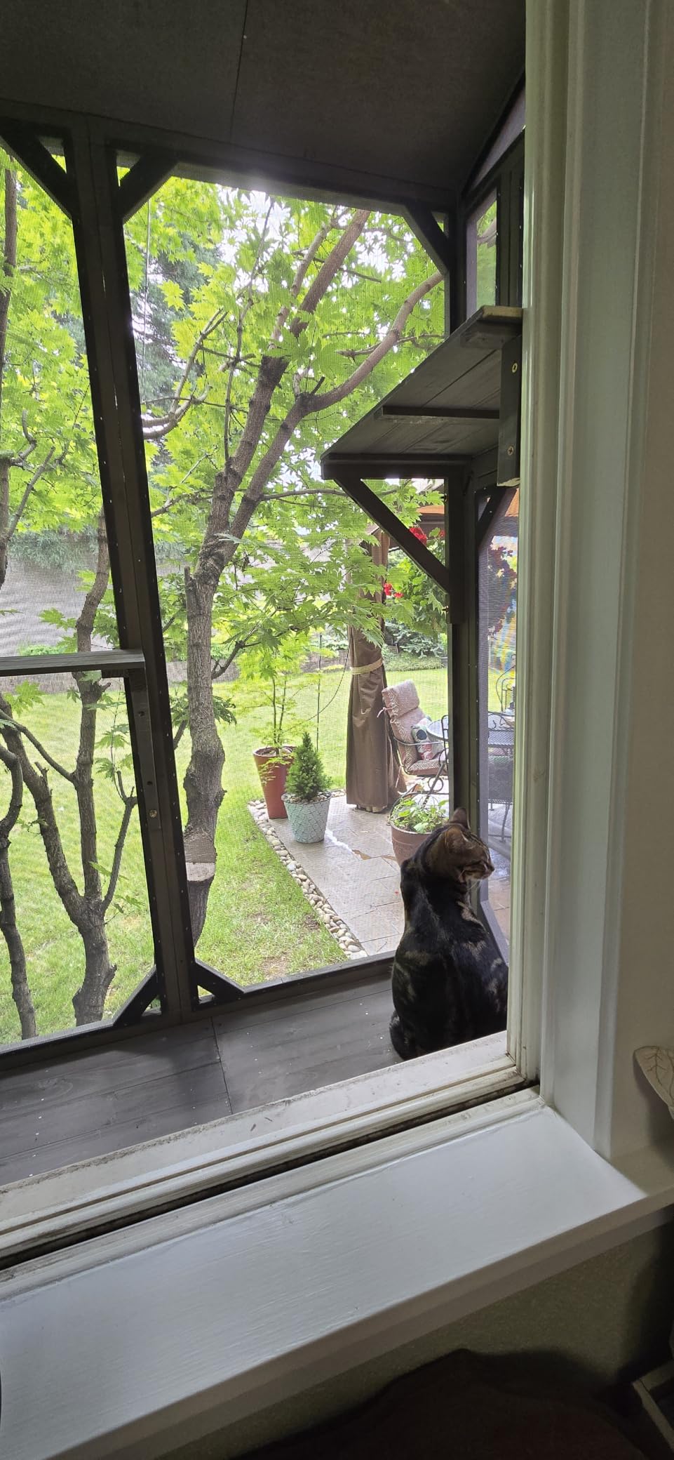 ketive Cat Catio, Expandable Window Box Enclosure for Multiple Indoor Cats, Comfortable Wooden Small Pet Perch House, All-Weather Use, Keep Bugs Insects Out, with 4 Platforms and 3 Doors customer photo 1