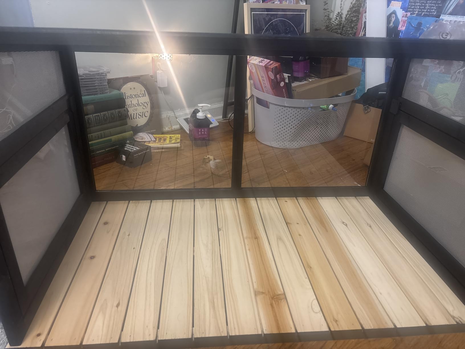 Cat Window Box Catio Outdoor Cat Enclosure Perch with Bug Proof Wire Mesh Window Catio Side Door customer photo 1