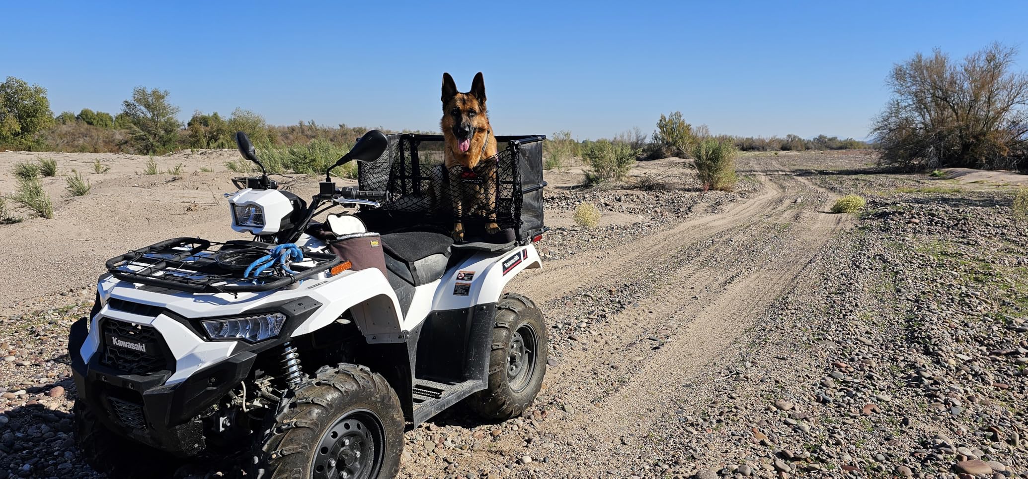 KEMIMOTO ATV Dog Carrier Seat, Heavy-Duty Four Wheeler Pet Seat and Carrier customer photo 1
