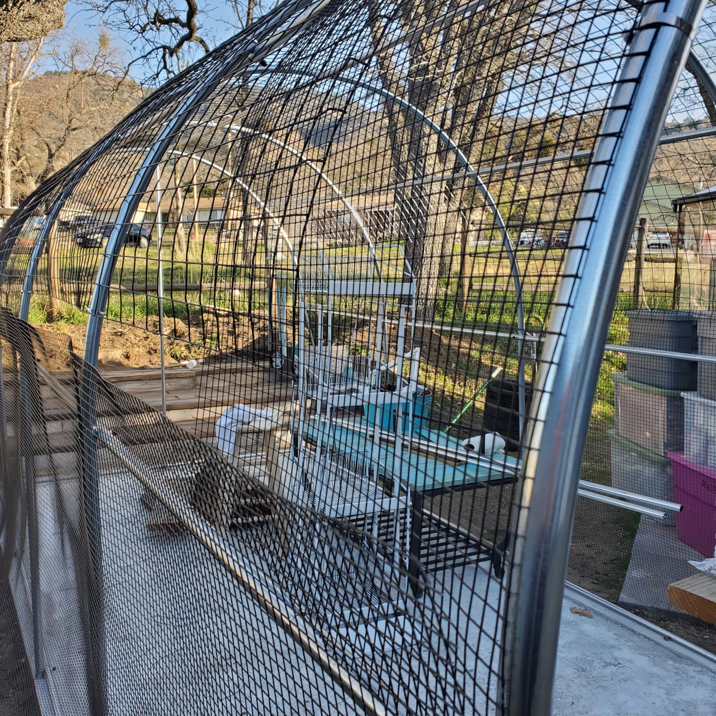 KING BIRD Premium 20x10x6.6FT Greenhouse for Outdoors, Large Walk-in Upgraded Galvanized Metal Frame, Mesh Door Screen Window Improved Zipper Tunnel Hoop for Garden Plant Winter, 2 Stiffeners, White customer photo 1