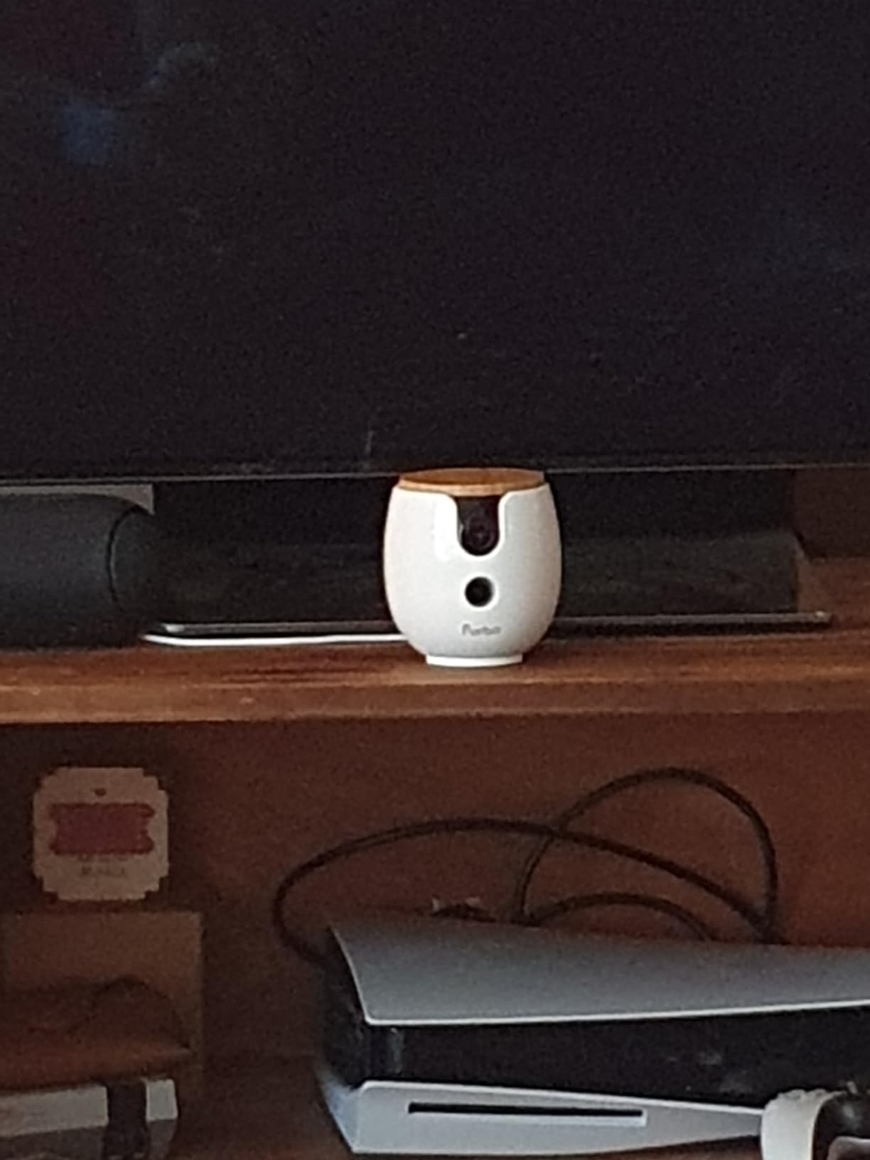 Furbo Mini 360° [Subscription Required] New 2K QHD Pet Camera - Unlock w/Paid Plan: Dog & Cat Safety Alerts, Rotating Treat Toss, 2-Way Speaker (Low Risk, 3mo Min. Cancel Anytime) customer photo 2