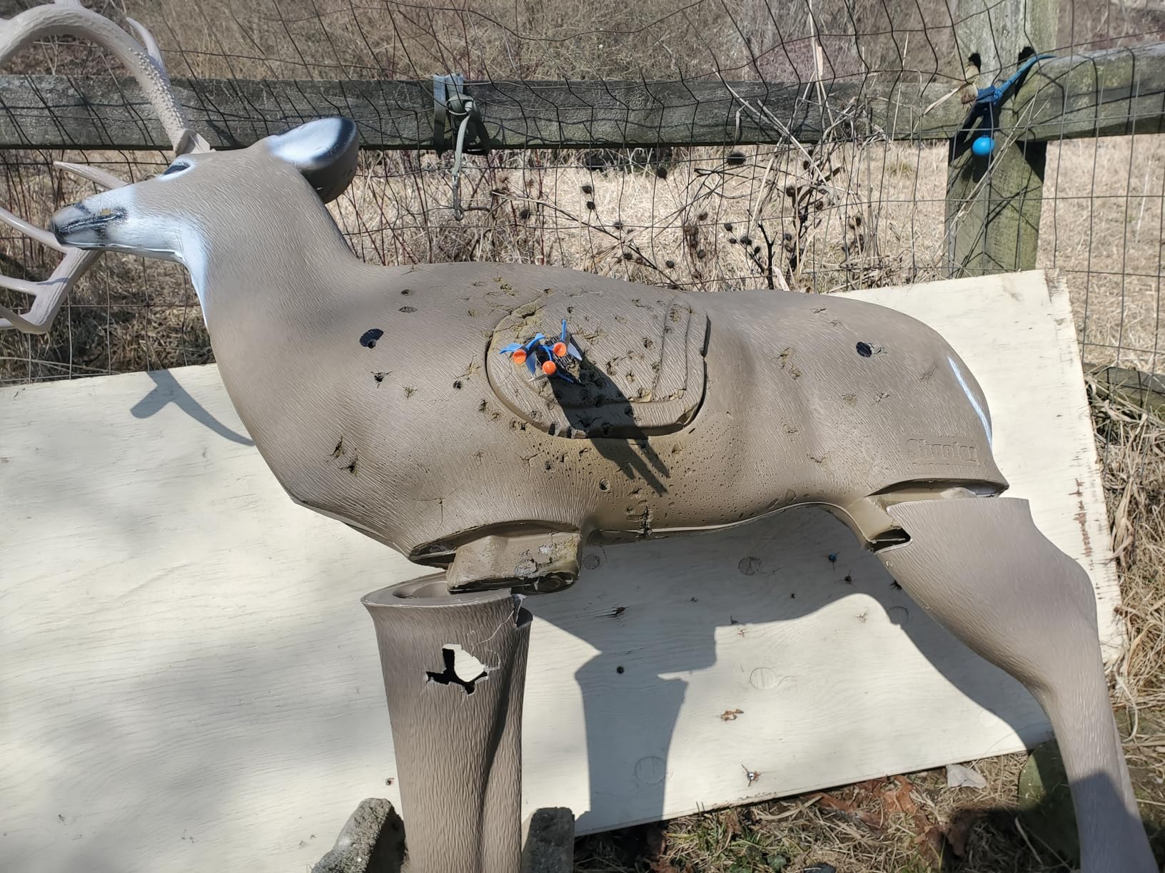 Excalibur Mag MAX Accurate High-Output CeaseFire Archery Hunting Crossbow - Scope, Scope Rings, 3 Quill Arrows with 100Gr Field Points, 4-Arrow Quiver Included customer photo 1