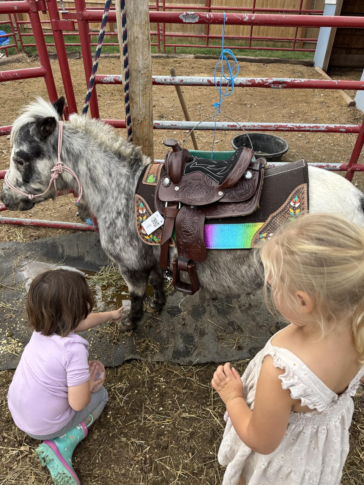 17 in Dark Brown Western Kids Youth Children Miniature Pony Saddle Leather Trail Tack | Hand Tooled Saddle | Western Saddle | Saddle for Horses | Horse Tack Set customer photo 2