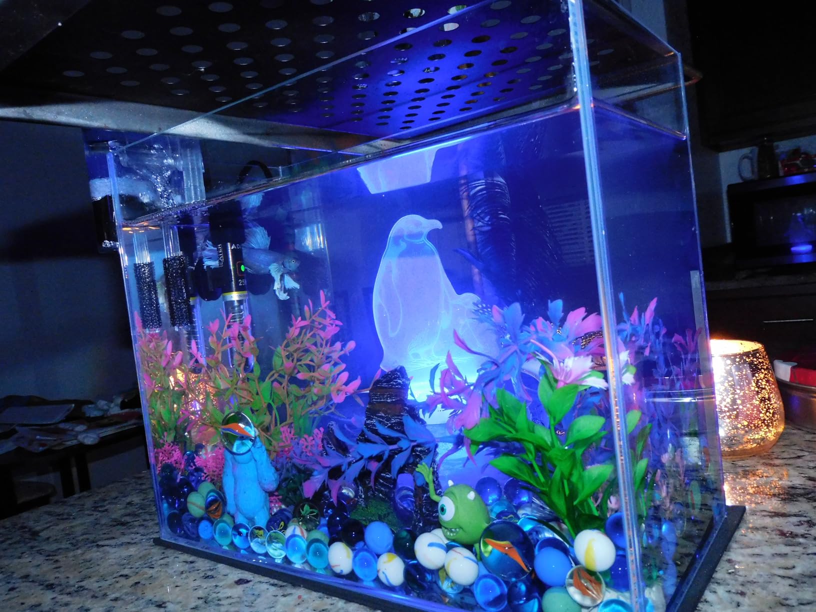 Vimvins 10 Gallon Glass Fish Tank, Easy to Maintain Small Aquarium for Betta/Goldfish/Snails/Shrimp and Aquatic Planting customer photo 2