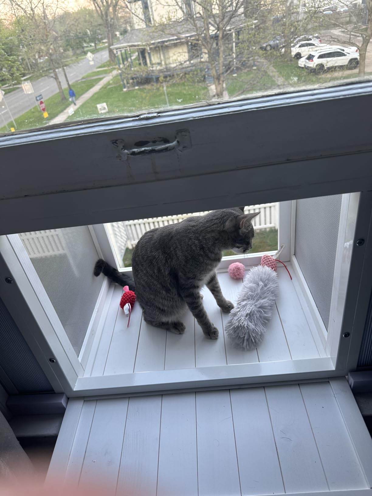 Yardenaler Cat Window Box, Adjustable Window Cat Perch Catio, Wooden Window Catio for Indoor Cats customer photo 1
