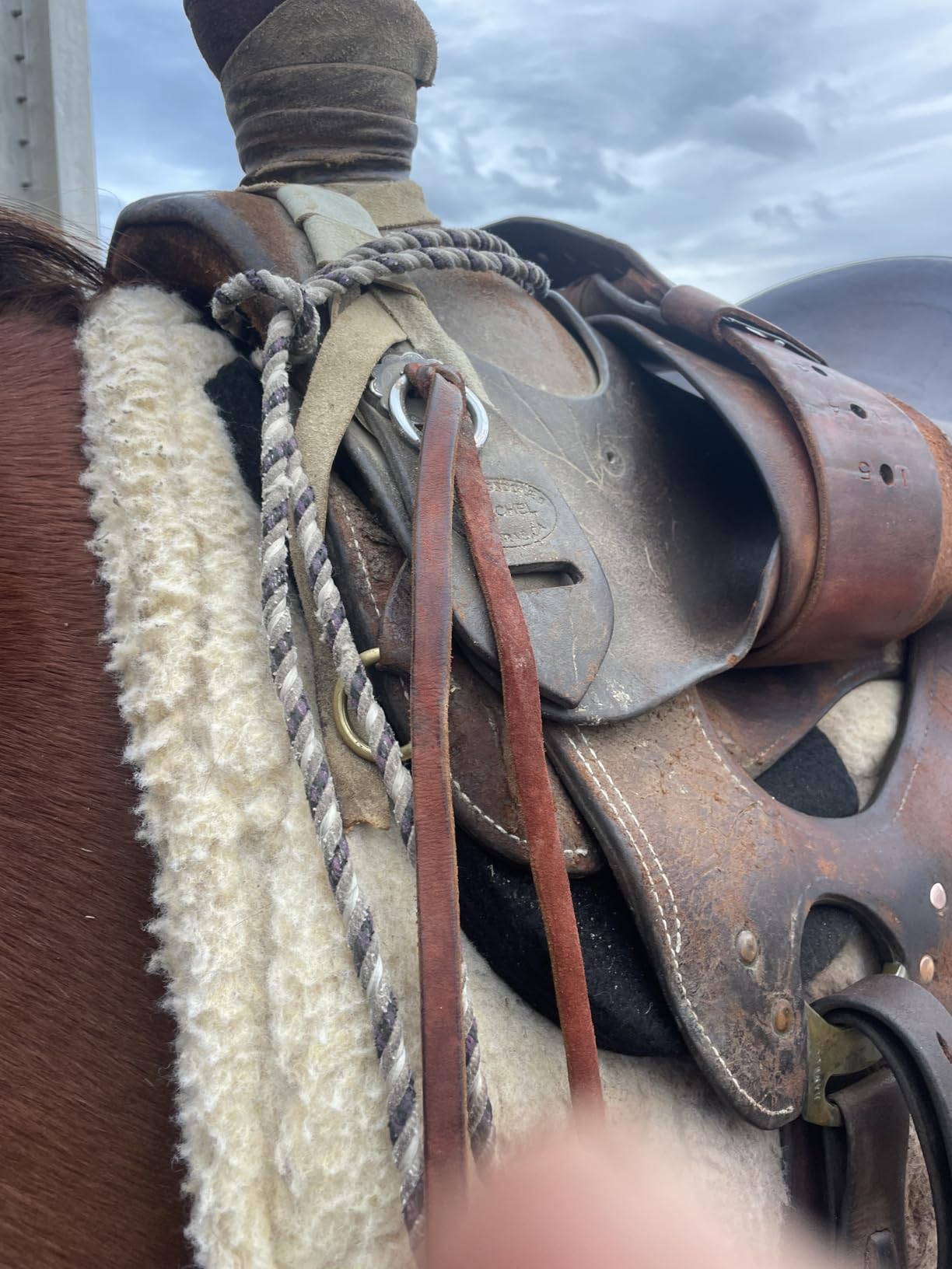 Kavallerie Horse Western Saddle Pad, Soft Felt & Foam Core for Comfort, Fits High-Withered Horses, Durable for Trail Rides & Ranch Work customer photo 1