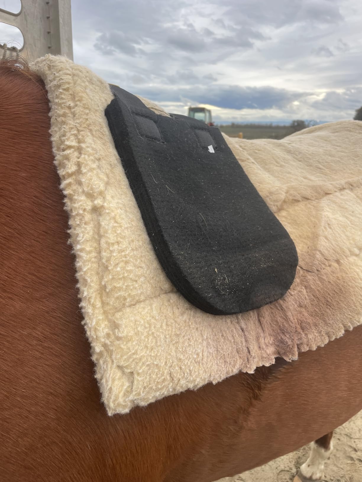 Kavallerie Horse Western Saddle Pad, Soft Felt & Foam Core for Comfort, Fits High-Withered Horses, Durable for Trail Rides & Ranch Work customer photo 2
