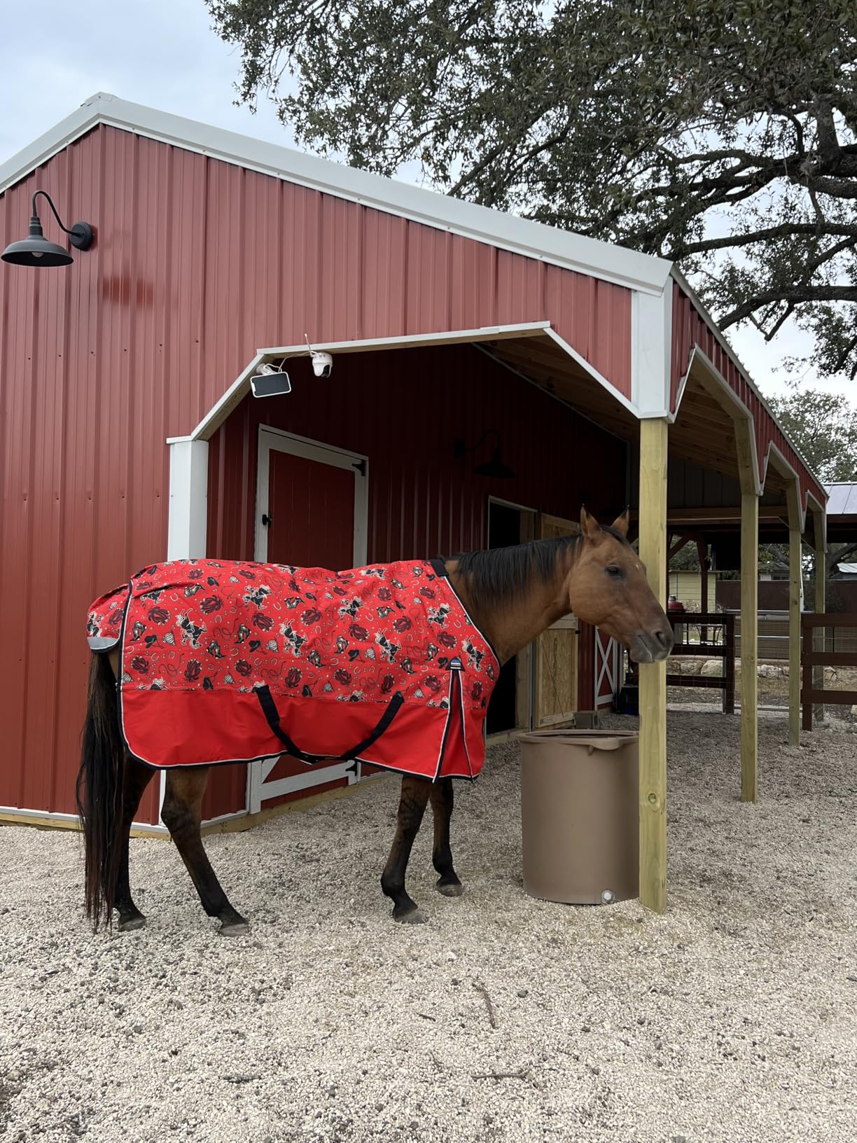 WeatherBeeta ComFiTec Essential Turnout 220g, Rodeo Print, 72