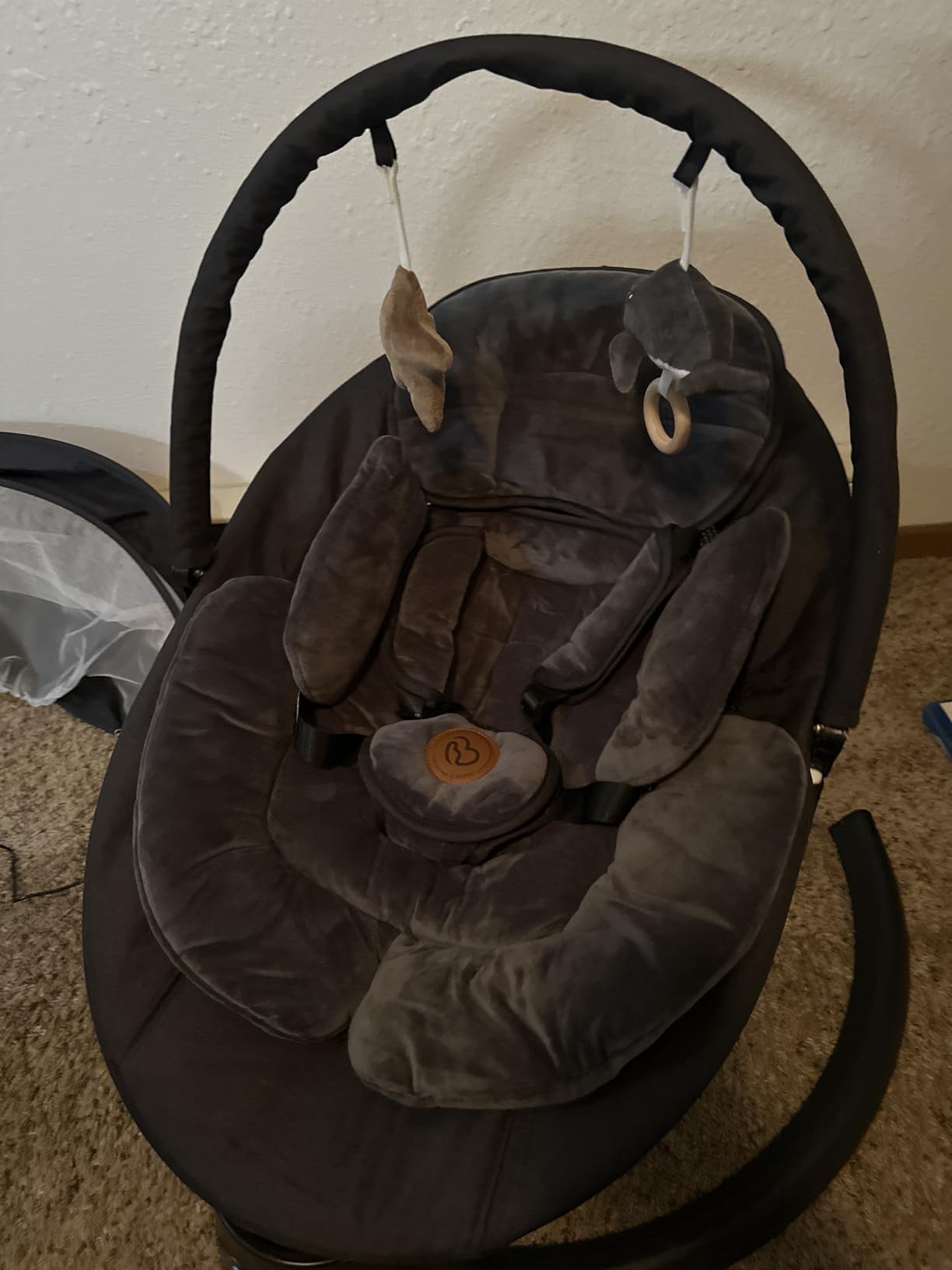 FasonBaby Electric Baby Swing with 10 Preset Melodies, 5 Speeds, Remote Control and Bluetooth - Portable Infant Swing for Indoor and Outdoor (Beige) customer photo 2