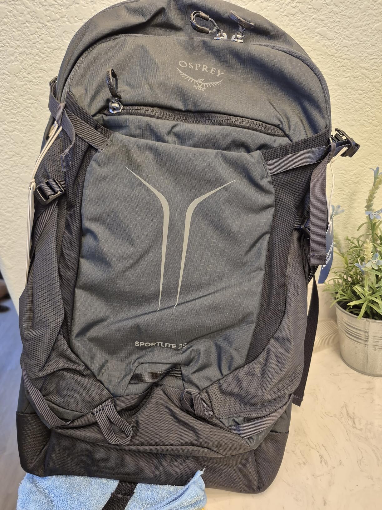 Osprey Sportlite 30L Lightweight Hiking Backpack for Men and Women - Everyday Hiking Bag - Travel Daypack, Raven Black customer photo 1