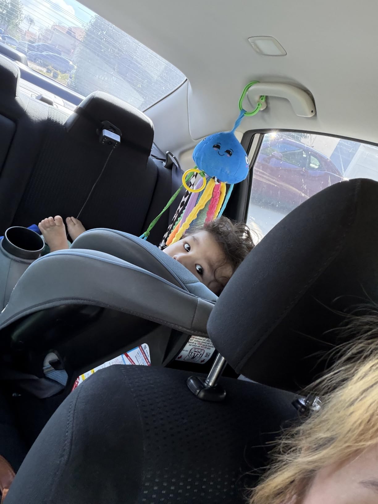 Safety 1st Grow and Go All-in-One Slim Convertible Car Seat, Rear Facing 5-40 lbs, Forward Facing 30-65 lbs, High Back Booster 40-100 lbs customer photo 2