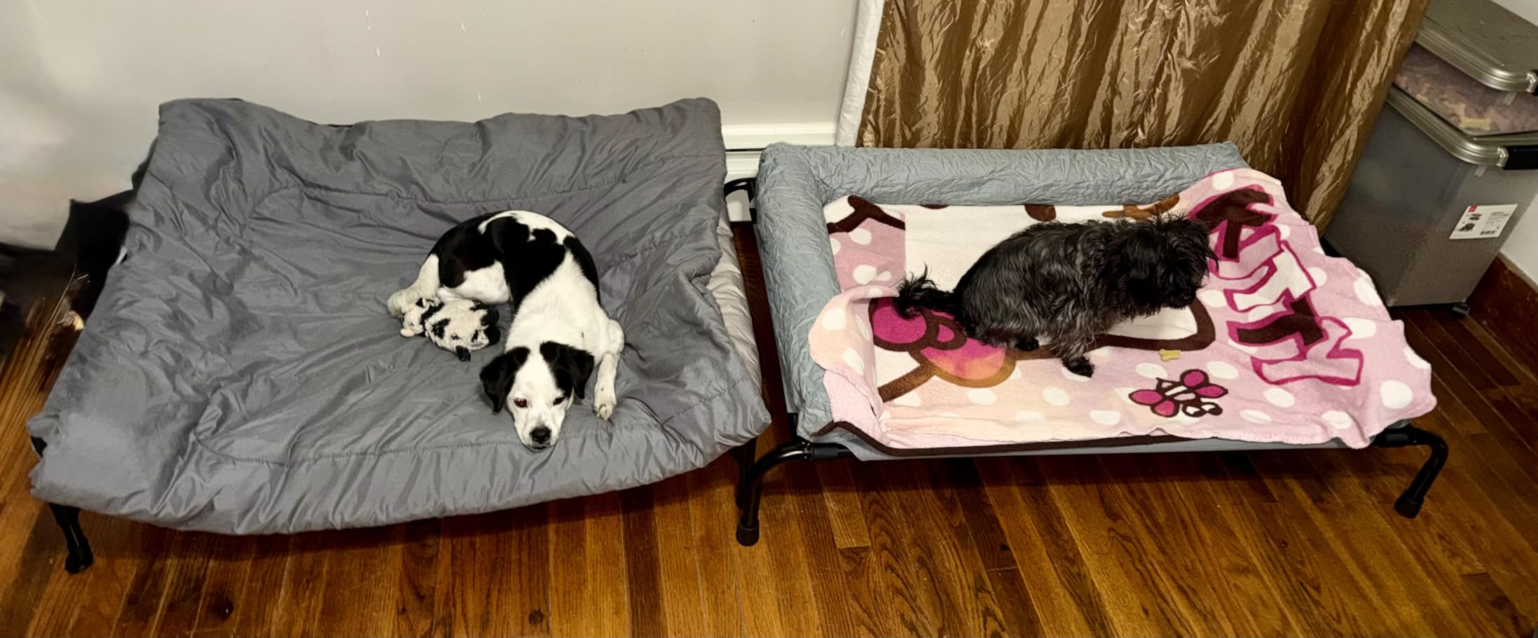 Simple Trending Elevated Dog Bed for Large Dogs, Cooling Raised Dog Cot with Bolsters, Breathable Pet Bed for Outdoor, 47.75