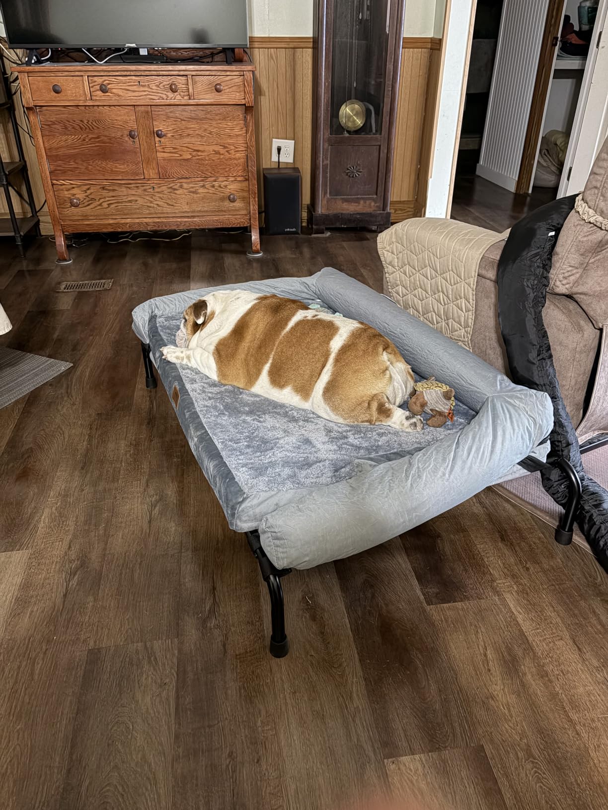 Simple Trending Elevated Dog Bed for Large Dogs, Cooling Raised Dog Cot with Bolsters, Breathable Pet Bed for Outdoor, 47.75