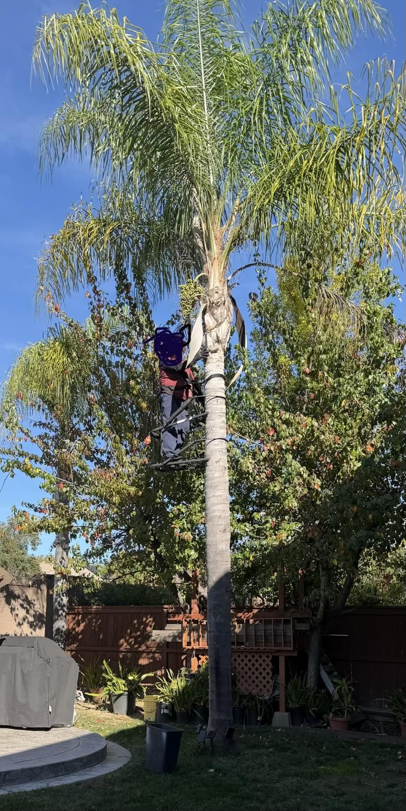 OL MAN Stealth Mode Steel Climbing Tree Stand customer photo 1