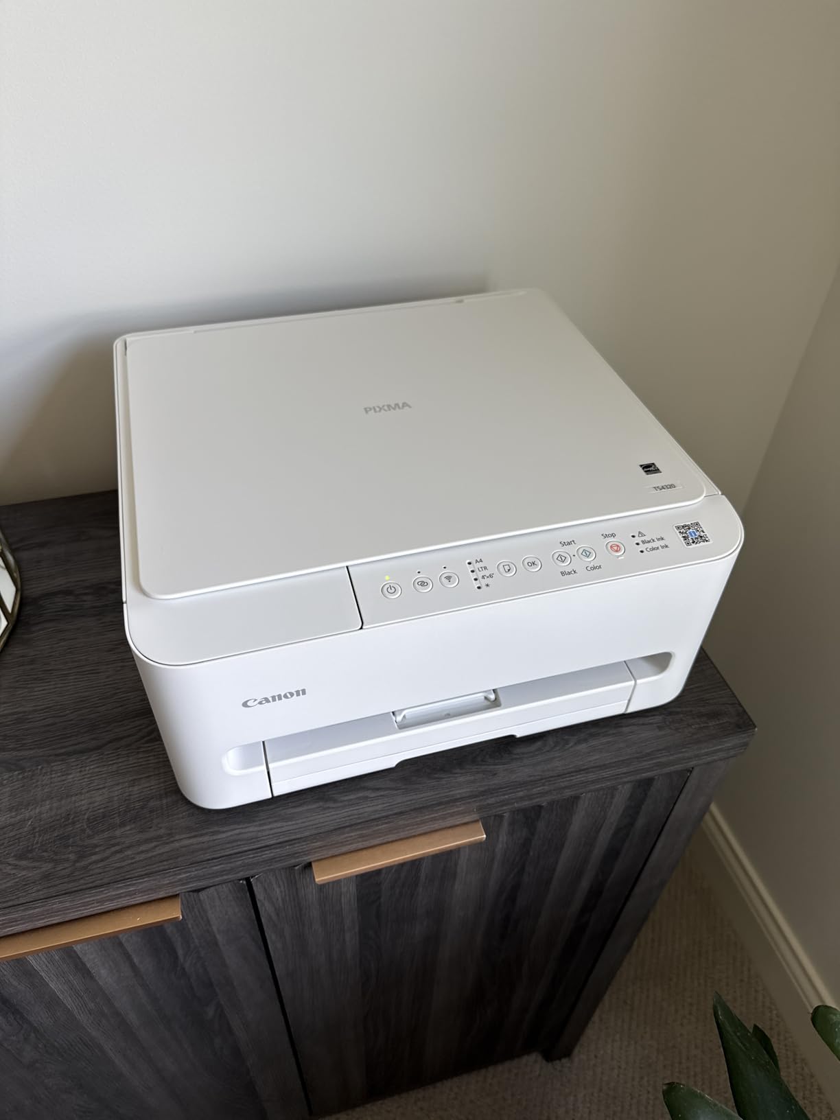 Canon PIXMA TS4320 Wireless Color Inkjet Printer for Duplex Printing, White - Home Printer with Copier/Scanner, Compact Design, Easy Setup, 1 Year Limited Warranty customer photo 2