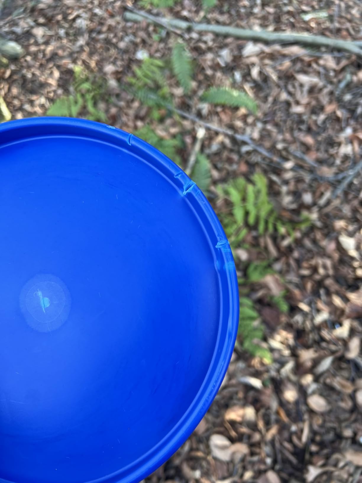 Backyard Disc Golf Basket - Portable 24-Chain Target, Easy Setup Heavy Duty customer photo 2