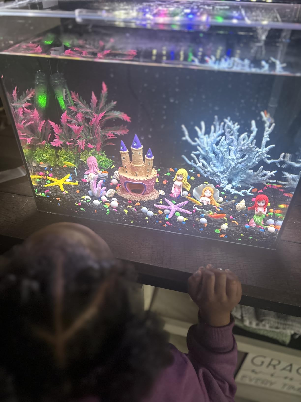 10 Gallon Aquarium Set Glass Fish Tank, Heater Self Cleaning System Filter with Media Bright Light Cleaning Tool, Leak-Proof Clear Rimless Betta Tropical Freshwater Fish customer photo 2