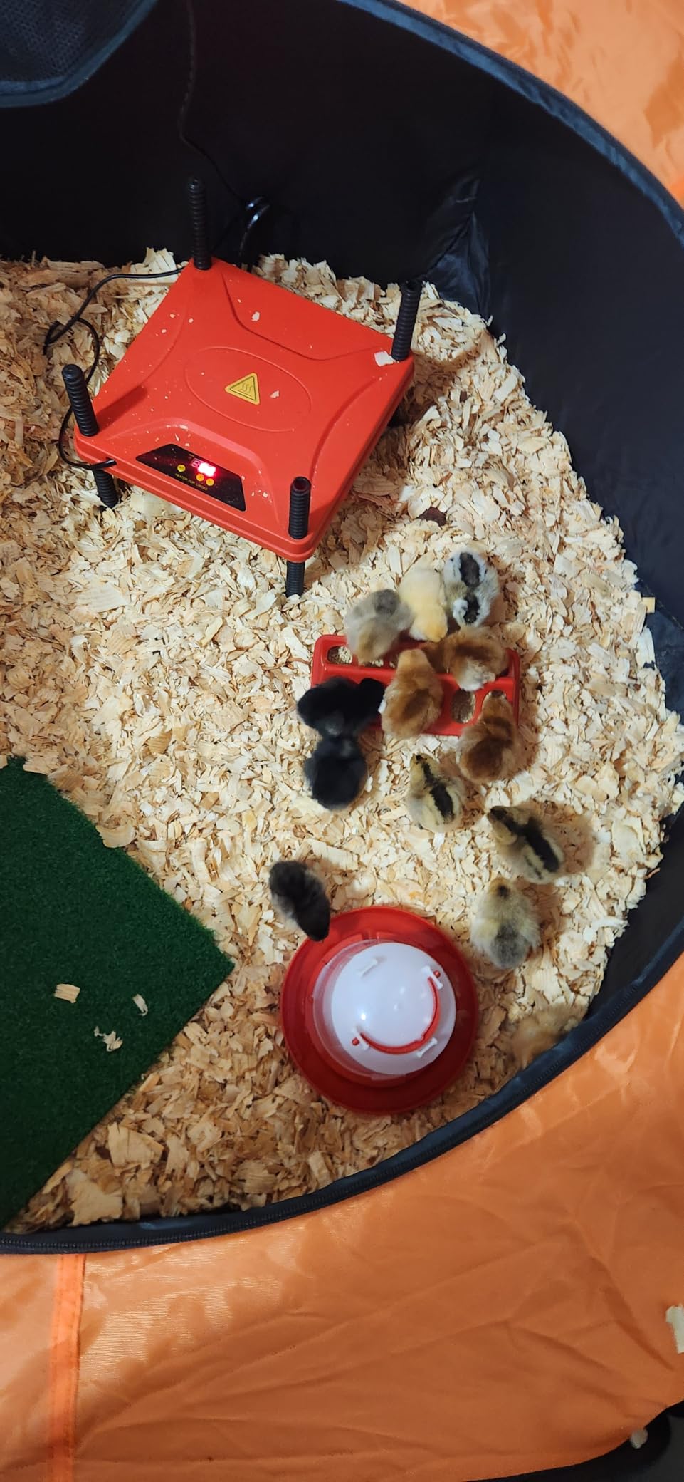 Brooder Box for Chick, 6-in-1 Chick Starter Kit, Includes Brooder Heating Plate, Baby Chicken Pen, Chicken Feeder, Waterer, Perch, Nesting Pad customer photo 1