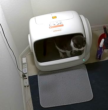 MeoWant Self-Cleaning Cat Litter Box, 106L Extra-Large Space Low Entrance customer photo 2