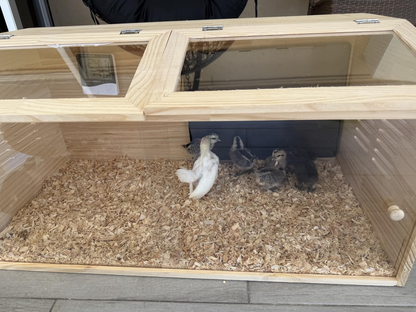 Brooder Box for Chicks, Quail cage, Baby Chicken Supplies, Includes Chicken coop Heater/Quick Installation Tool/Feeding Trough/Water Dispenser, Suitable for Chicks/Duck/Parrot (32