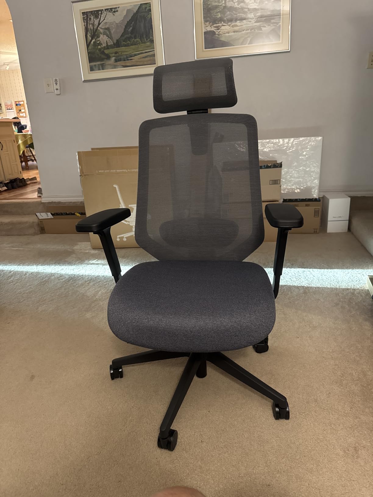 Branch Ergonomic Chair Pro - Mesh Office Chair with 14 Points of Adjustment, 5D Armrests, Forward Tilt, Smooth Recline, and Lumbar Support, Spark customer photo 1