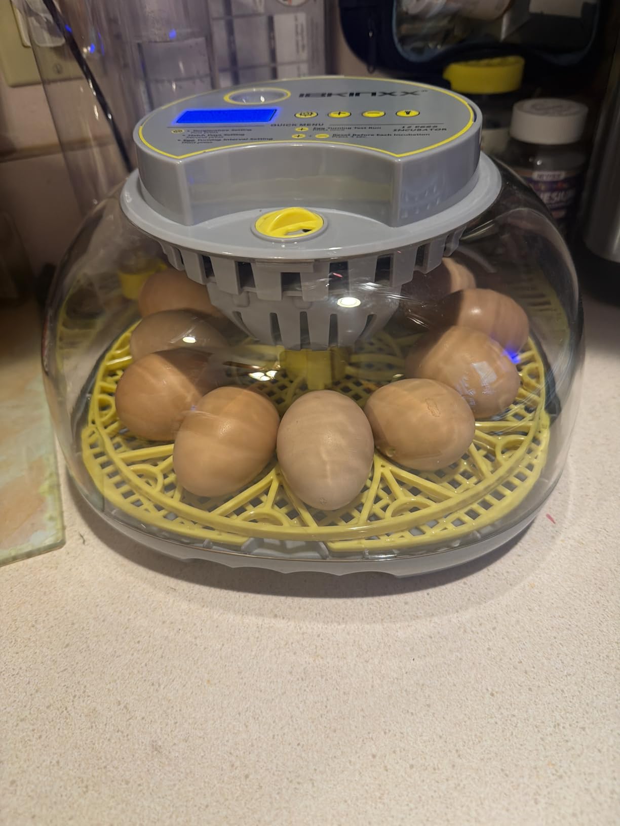 Incubator for Hatching Eggs-12 Egg Capacity, 2026 Newly Upgraded Automatic Egg Turner, Temperature & Humidity Control, 360° Viewing for Chicken, Duck and Quail Eggs customer photo 1