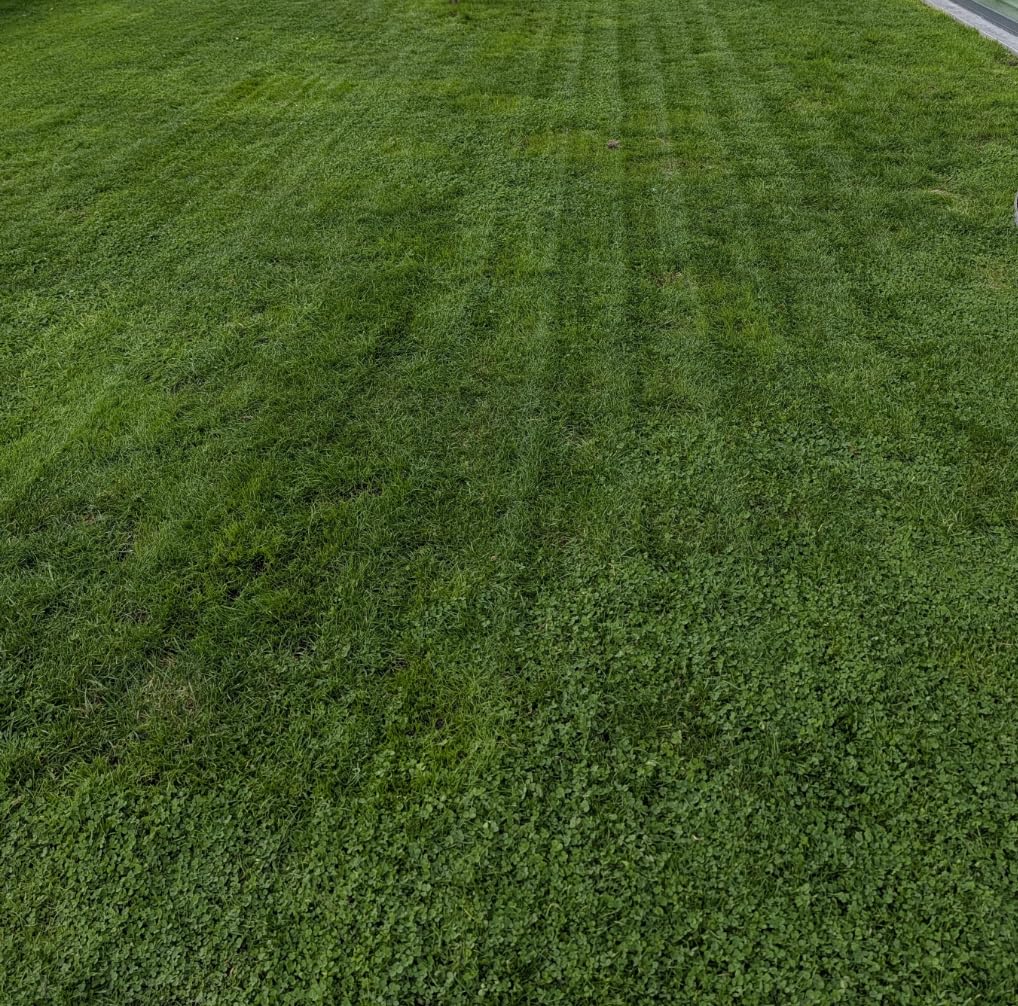 MOVA LiDAX Ultra 2000 Robot Lawn Mower with 4G for 0.5 Acre, No Wire No RTK+360 3D LiDAR+AI Vision Auto Mapping, Zero-Edge Cutting, Cut Height 1.2-3.9 Inch, 45% Slope, 150 Mowing Zones, Anti-Theft customer photo 2