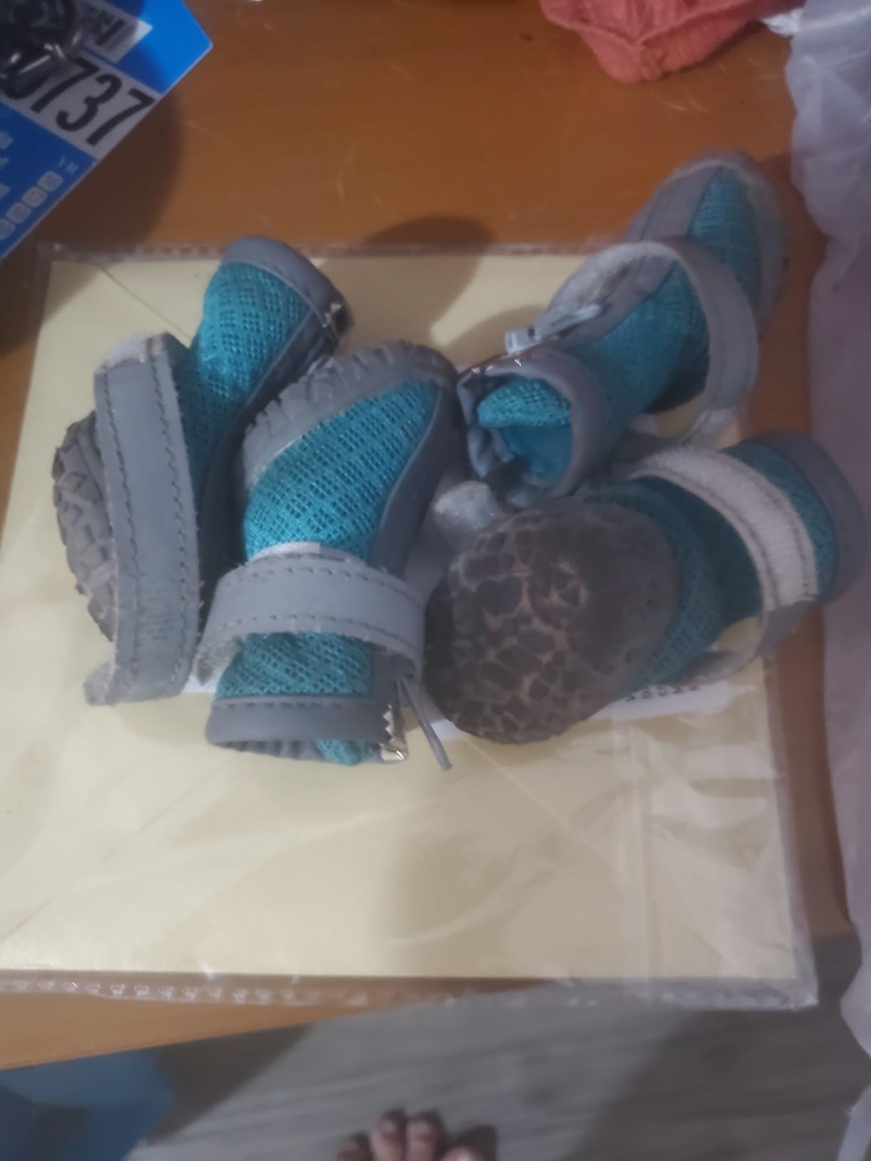 Dog Shoes for Small Dogs, Dog Boots & Paw Protectors for Hot Pavement Winter Snow Hiking, Anti-Slip Dog Booties for Hardwood Floor Blue Size 2 customer photo 1