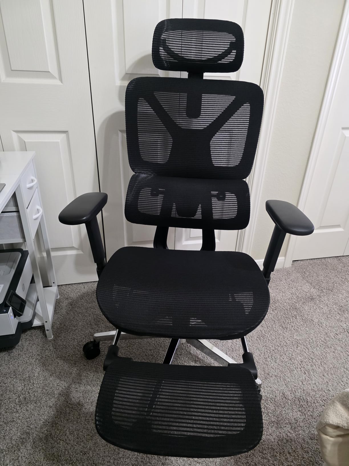 FLEXISPOT ErgoX Premium Ergonomic Office Chair with Footrest - Adjustable 3D Armrests, Dynamic Lumbar Support, Recline & Tilt Function, Mesh Seat, for Home & Office Use, Light Grey Foam customer photo 1