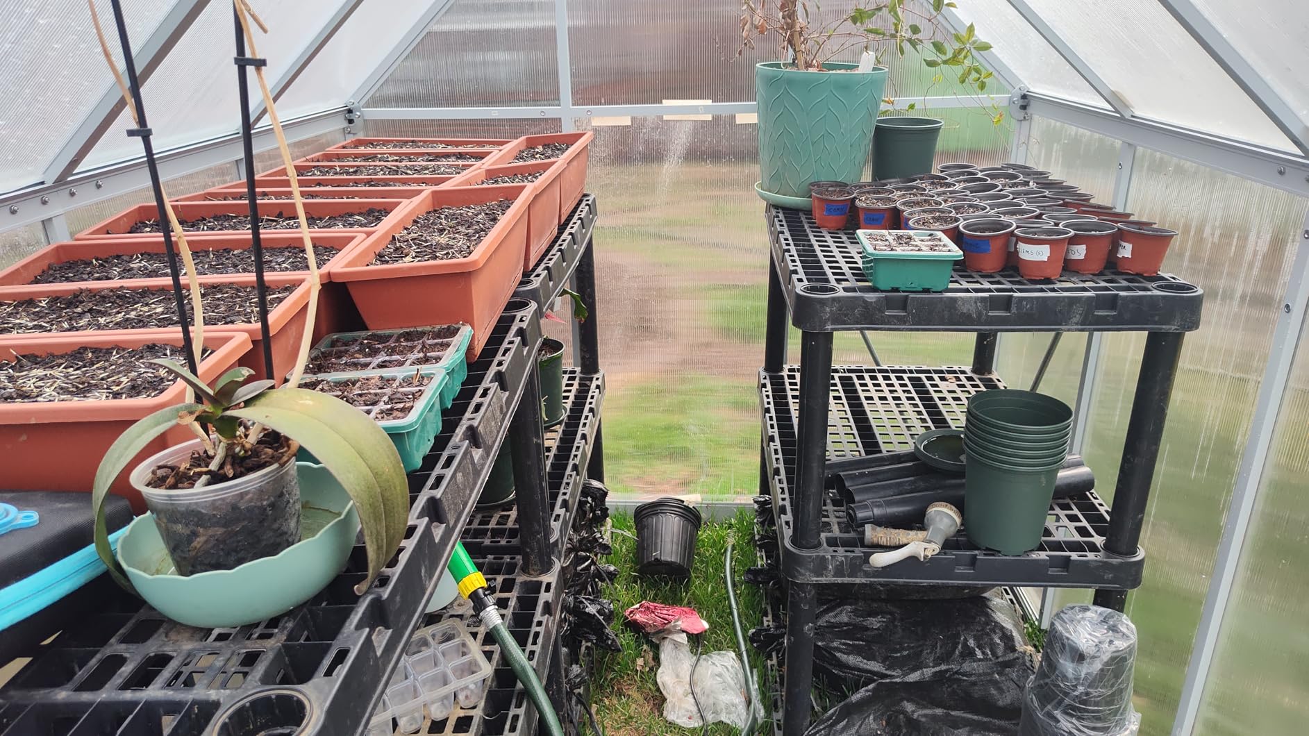 6x7 FT Outdoor Greenhouse, Heavy-Duty Polycarbonate Greenhouse Kit with Reinforced Aluminum Frame, Adjustable Roof Vent & Quick-Connect System for All Seasons & Winter Use customer photo 1