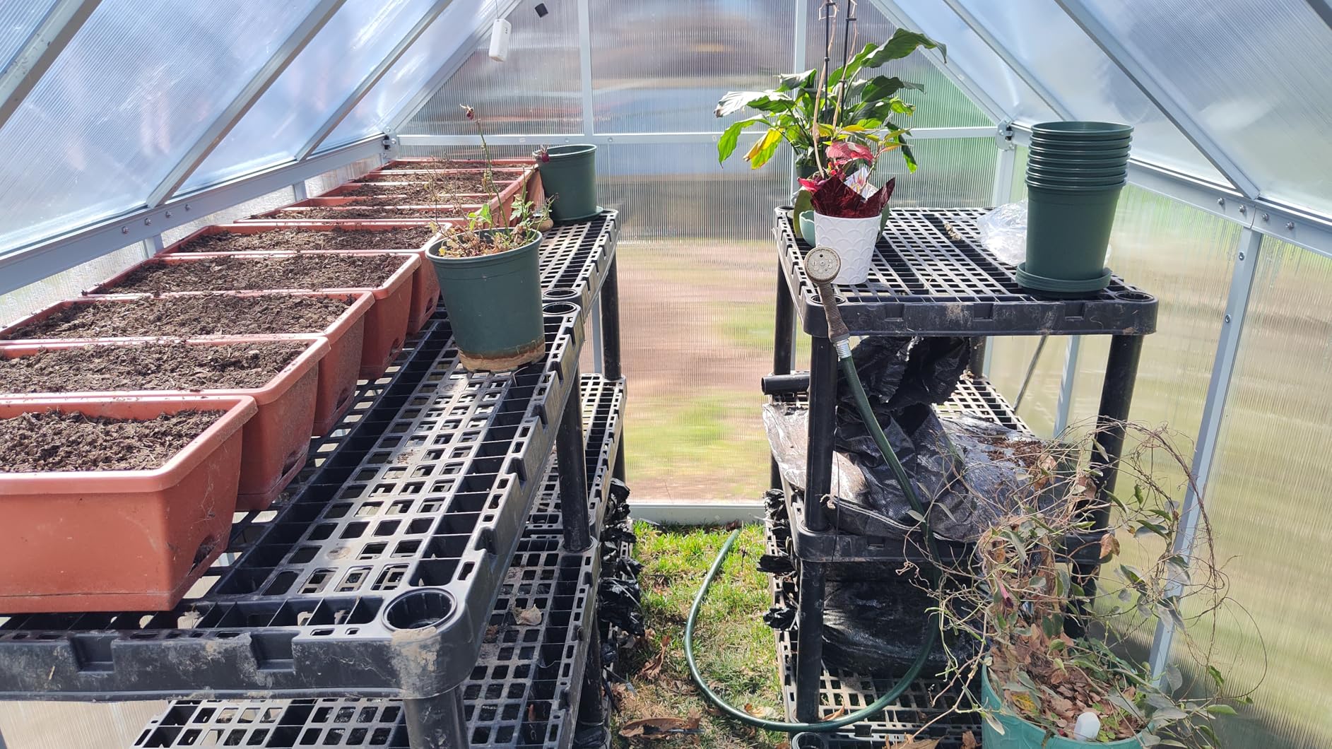 6x7 FT Outdoor Greenhouse, Heavy-Duty Polycarbonate Greenhouse Kit with Reinforced Aluminum Frame, Adjustable Roof Vent & Quick-Connect System for All Seasons & Winter Use customer photo 2