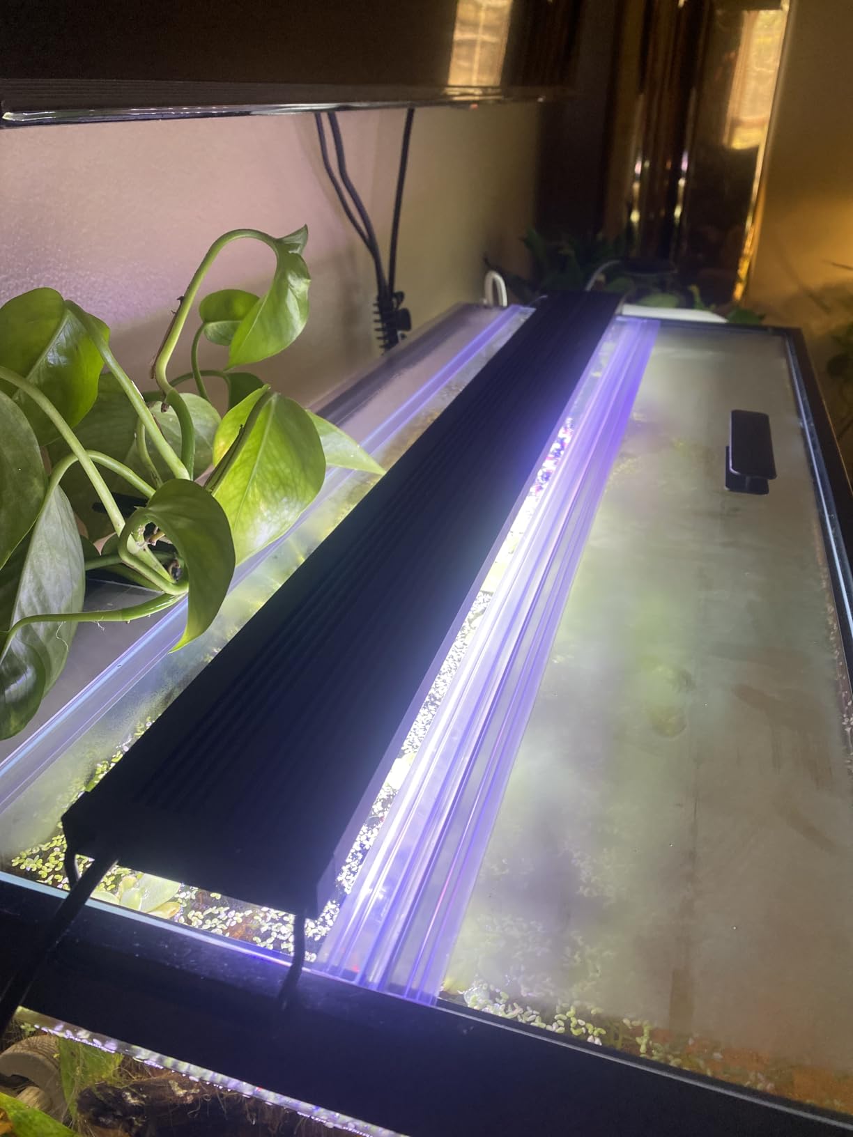 Tempered Glass Canopy, Aquarium Fish Tank Hoods FITS for 15/20/55-Gallon Aqueon All Glass Marineland Perfecto Aquarium Fish Tank (23.07x11.69in) customer photo 2