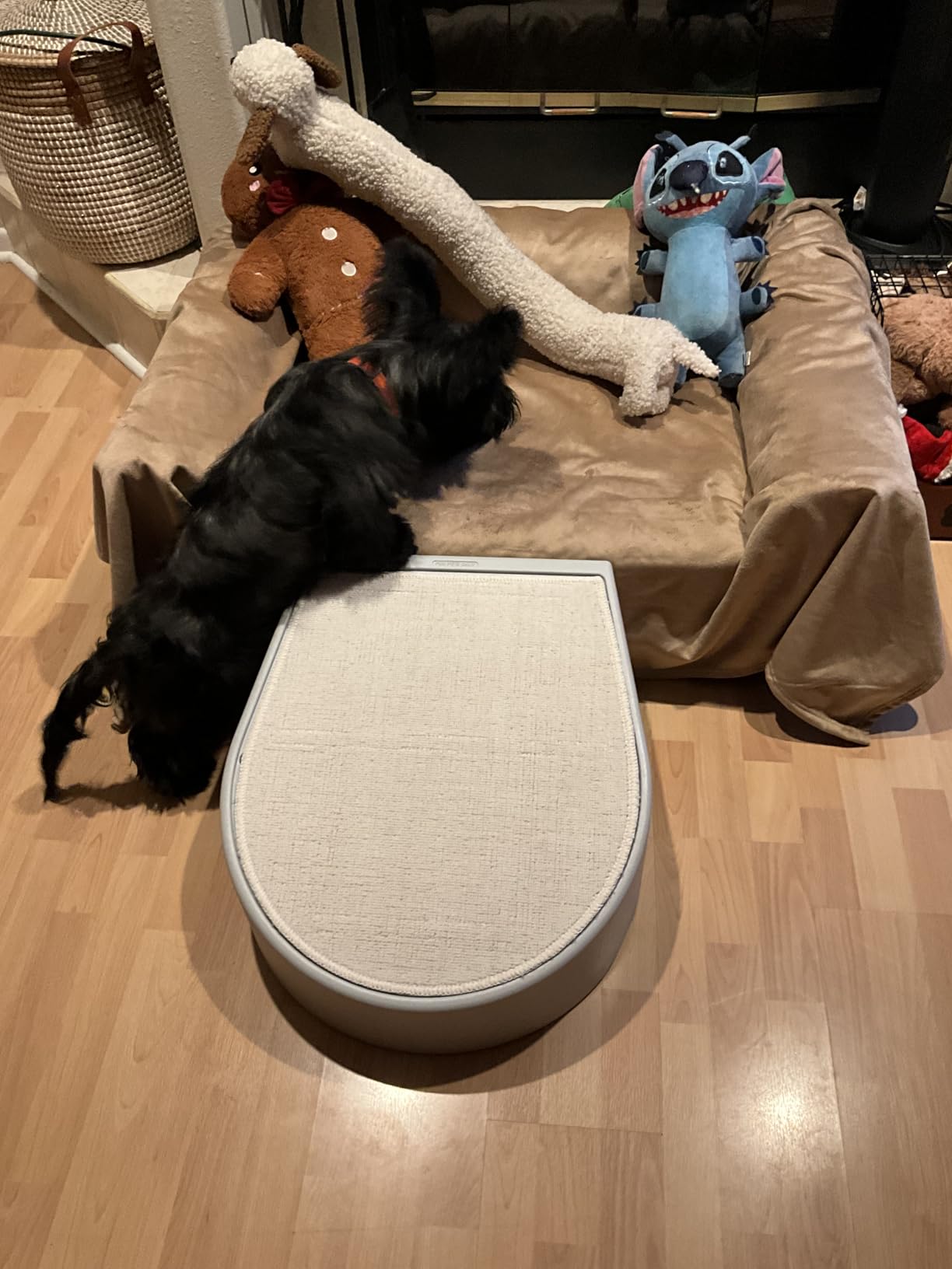 Pet Gear Stramp Stair and Ramp Combination for Dogs/Cats, Easy Step, Lightweight/Portable, Sturdy customer photo 1