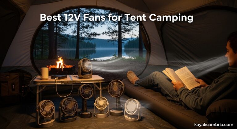 Best 12V Fans for Tent Camping