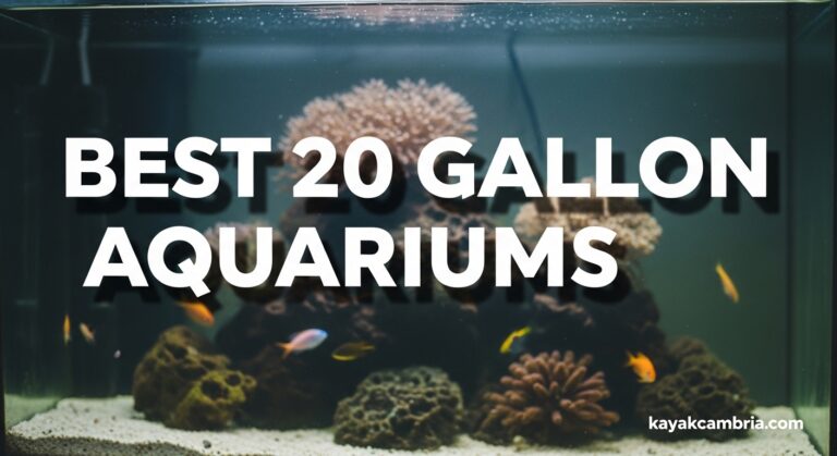 Best 20 Gallon Aquariums