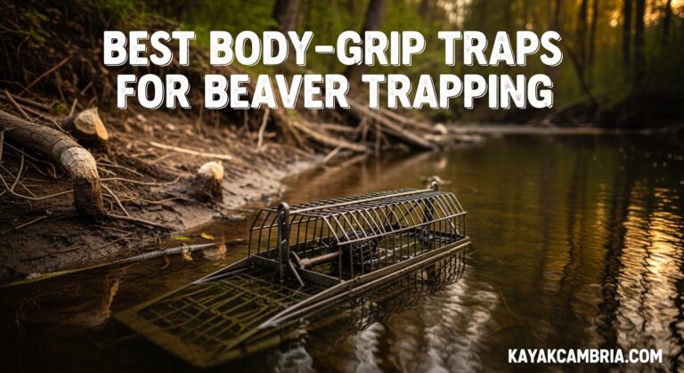 Best Body-Grip Traps for Beaver Trapping