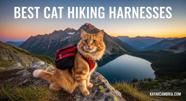 Best Cat Hiking Harnesses