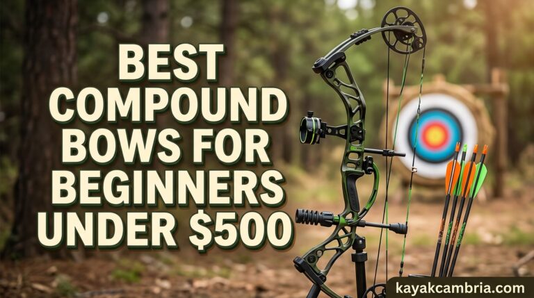 Best Compound Bows for Beginners Under $500